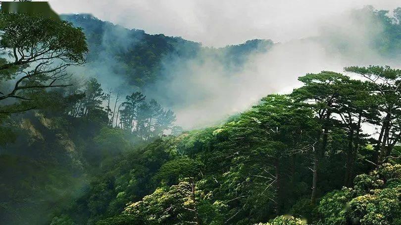 逗小猴开心系列203